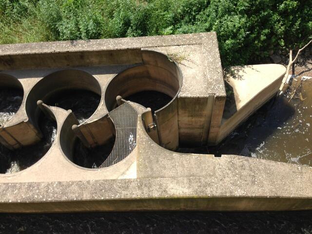 Der Anfang des Einschwimmbereiches liegt (weiter rechts) unter Wasser.