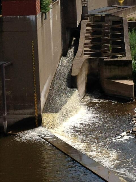 So sieht man den Fischpass von der blauen Fußgängerbrücke aus.