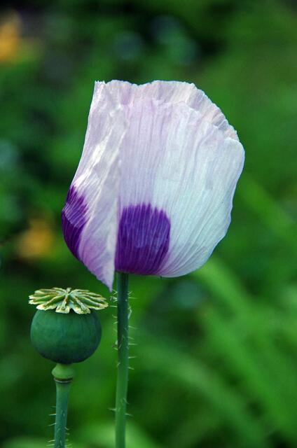 ... bis nächsten Donnerstag