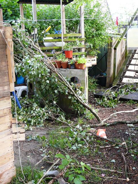 Chaos auch im Garten →