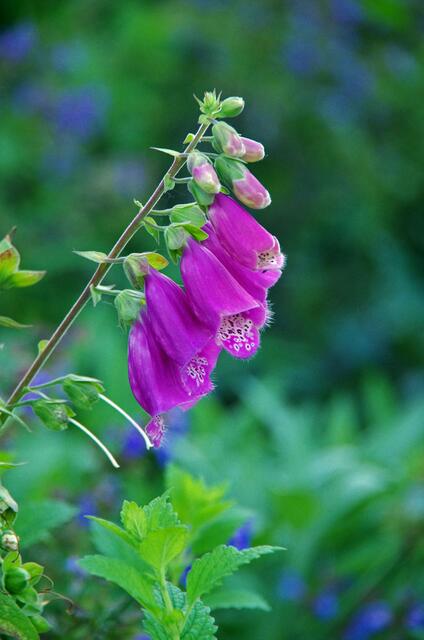 Im Krankenhaus Garten