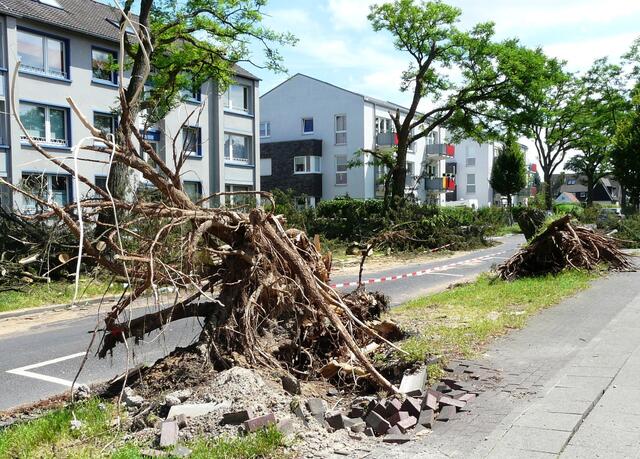 Am Lohweg in unserer Siedlung →