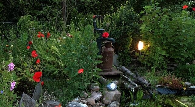 Cleo's Licht am Teich