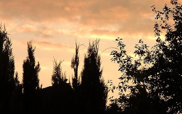 Abendhimmel gestern