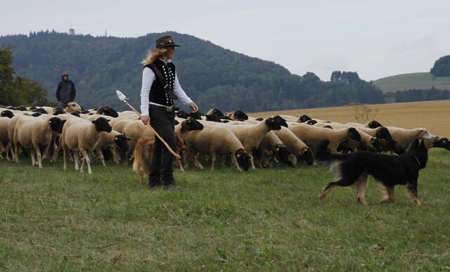 Auf Wanderschaft
