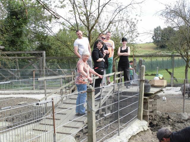 Die ersten Besucher schauen sich die neue Schweinegehege an..