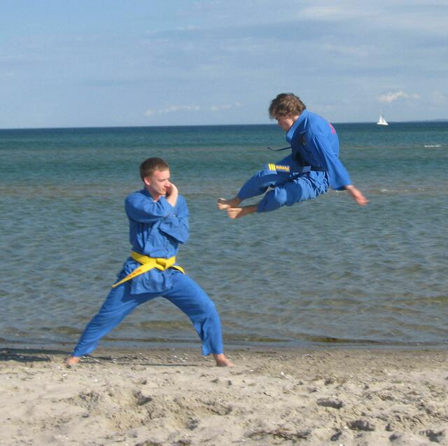 VoViNam - Việt Võ Đạo