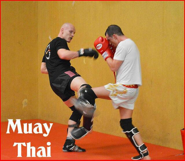 Muay Thai & MMA