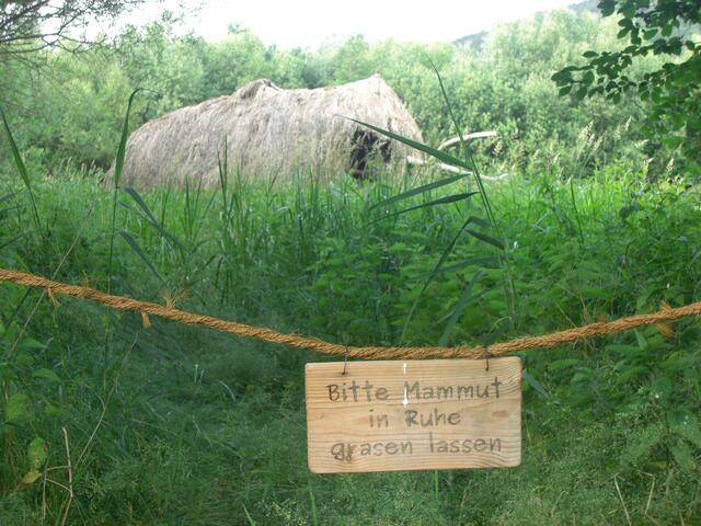 Mammut - nicht füttern
