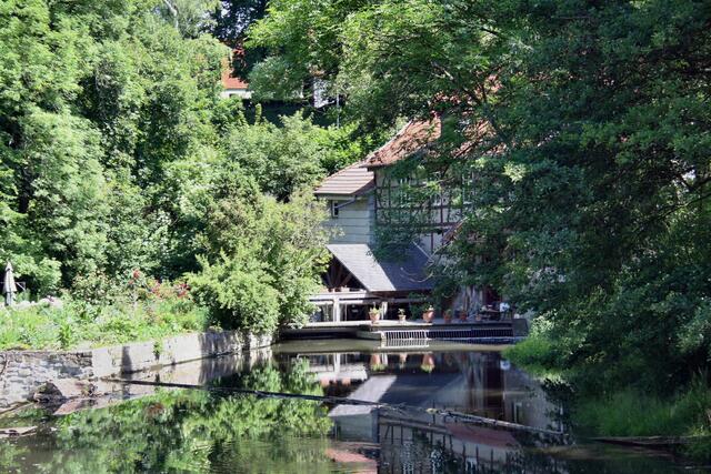 Spiegelung in der Ilm