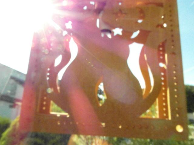 Fensterbild von Katzenpärchen,das mir wegen der Sonne leider nicht so gut gelungen ist!! Es ist mit Beleuchtung .