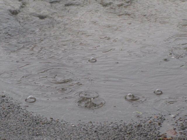 Dies war der einzigste Regentag den wir hatten. Somit fiel dieser im wahrsten Sinne ins Wasser. Es regnete ununterbrochen, ein Gewitter gab es auch noch und es wurde recht windig.