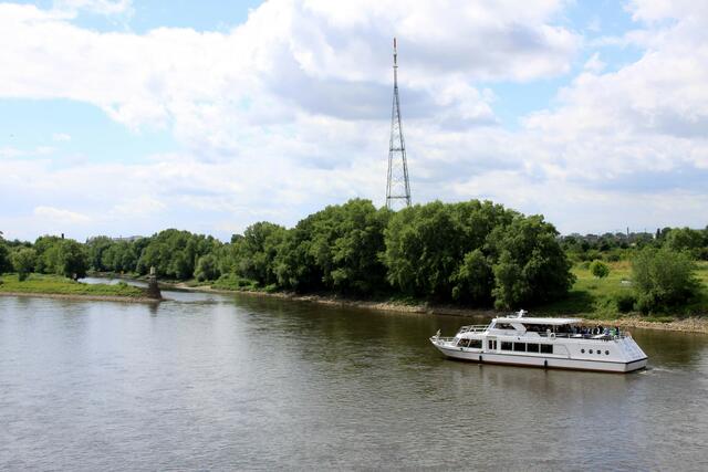 Blick von der Herrenkrugbrücke auf die Elbe