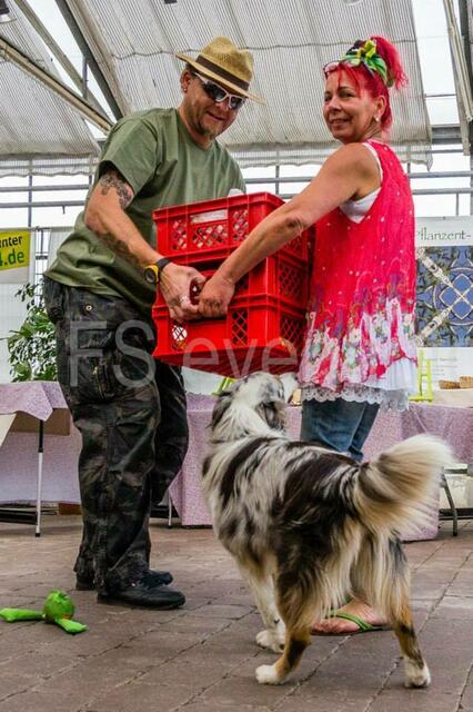 4. Fest der Naturgeister im 2014 im Botanischen Garten Augsburg - viel Arbeit für die Organisatorin Ursula Eschbach und die zahlreichen Helfer