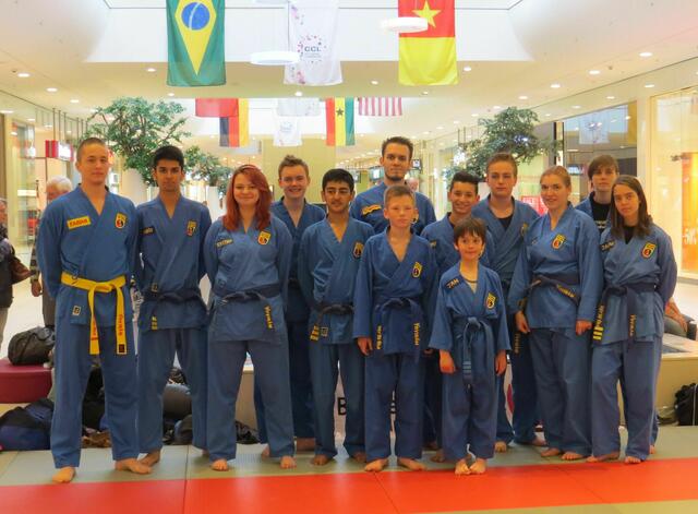 VoViNam-Gruppe