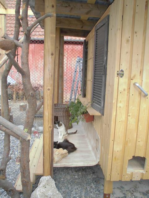 Auch die Veranda ist gut besucht.