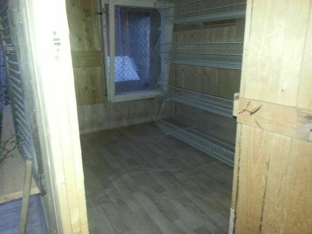 Durch zwei Fenster und das helle PVC ist das Katzenhaus schön hell und freundlich.