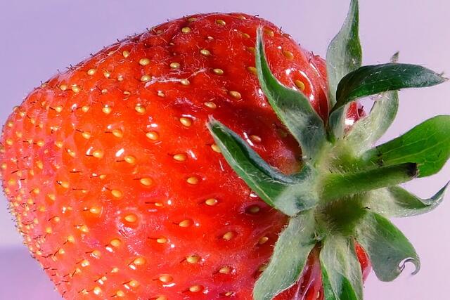 ...bis ins Detail....