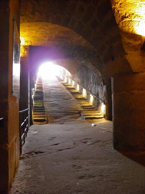 ...der Blick aus dem Weinkeller heraus