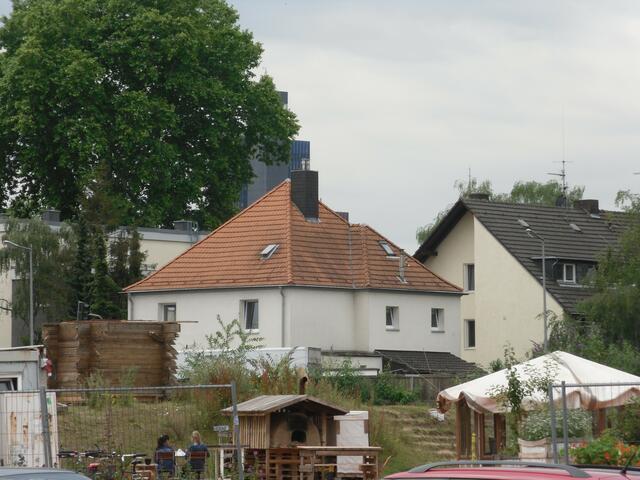 Neu Land