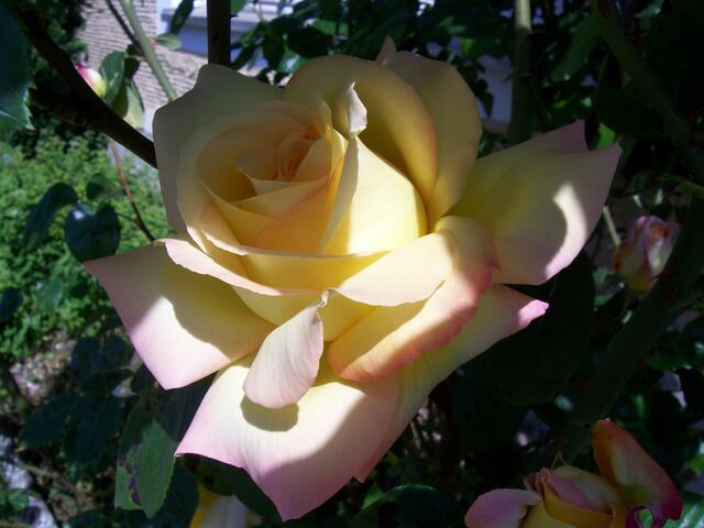 Ein Schnappschuss vom Juni 2014