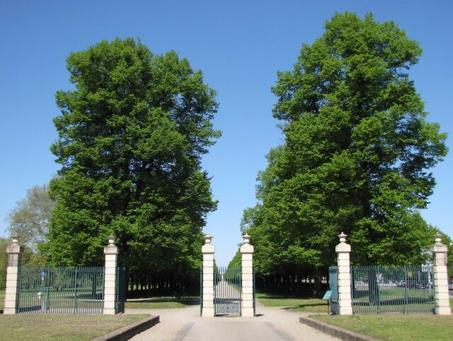 Nicht weit hinter dem Clevertor begann die über zwei Kilometer lange Allee.