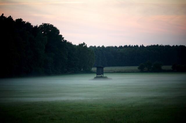 Der Nebel steigt auf! Mystische Abendimpression im Sonnenuntergang!