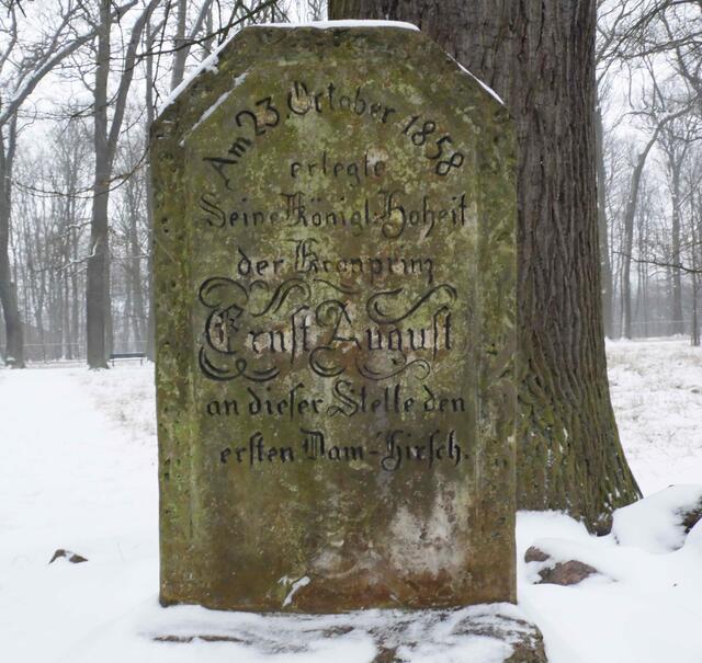 150 Jahre später erlegte Kronprinz Ernst August an dieser Stelle seinen ersten Hirsch.