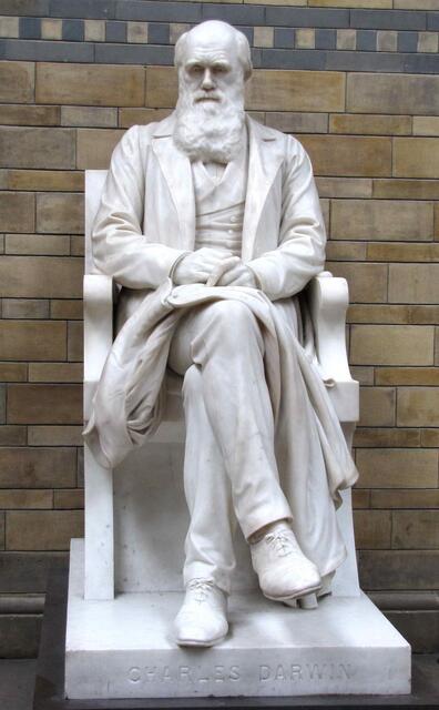 Dabei fand er heraus, dass sich das Leben durch Auslese des nicht Überlebensfähigen selbst entwickelt hat. Und auch, zum Entsetzen der damaligen Welt, besonders der Kirche, dass der Mensch mit dem Affen verwandt ist.