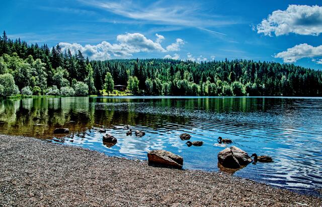 Windgfällweiher, See Nr. 2 der Radtour