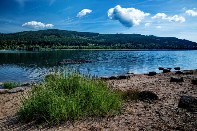 Der Schluchsee, Start zur Dreiseenradtour