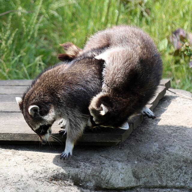 So, mein geiler Freund. Mach Dich auf 'nen Abflug bereit!