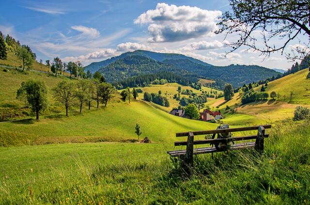 Nähe Haldenhof,  auf dem Weg zum Nonnenmattweiher