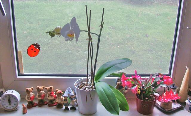 Fensterbank für Groß und Klein