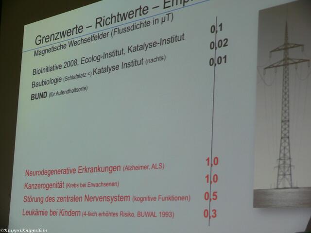 Gesundheitliche Auswirkungen von Hochspannungsleitungen