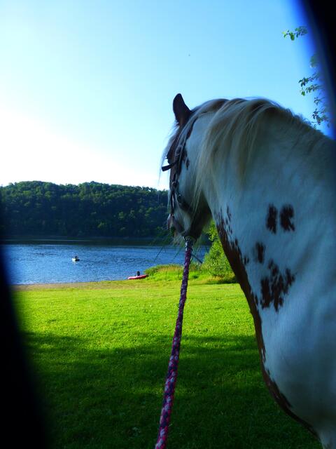 Seeblick