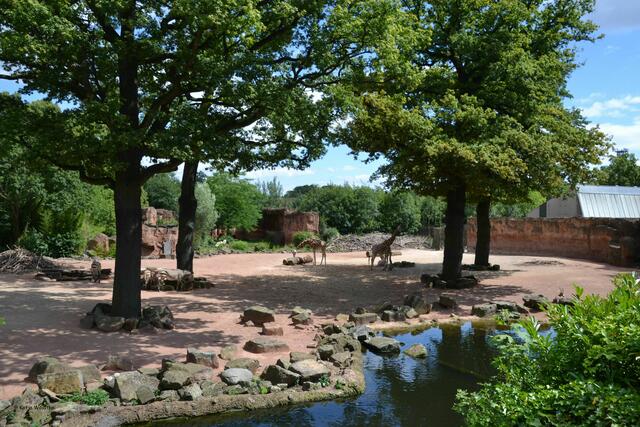 Giraffengehege in der Themenwelt Sambesi des Erlebniszoos Hannovers (Foto: Katja Woidtke)