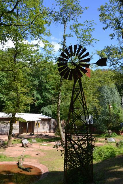 Im Outback können Sie mit Kängurus um die Wette hüpfen (Foto: Katja Woidtke)