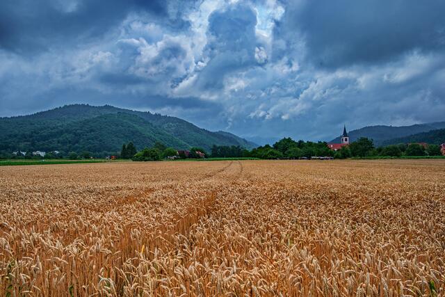 Regenwolken über dem Belchenmassiv