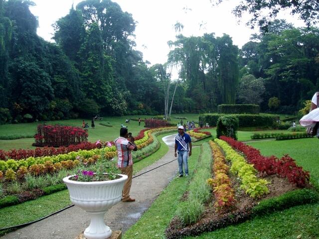 Paradenyia-Garten