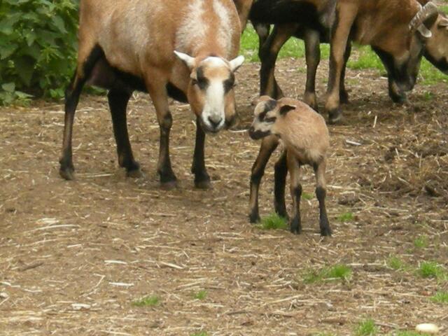 Da steht doch ein Besucher.