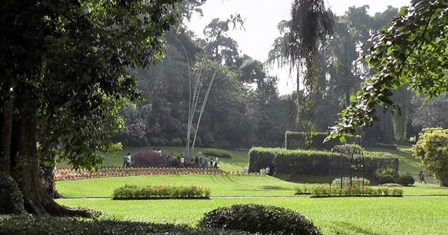 Botanischer Garten von Paradenyia