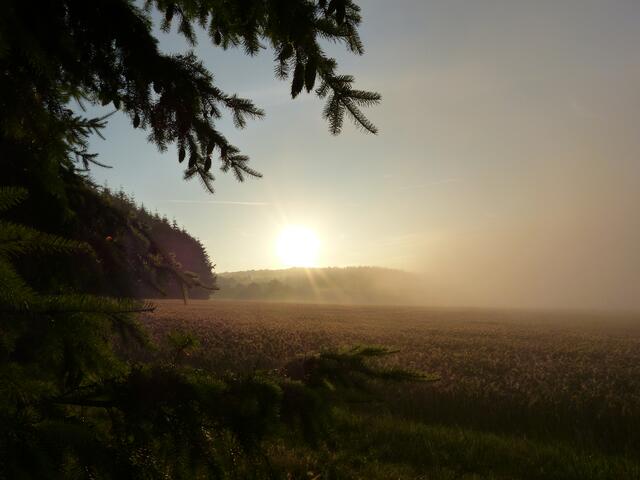 15 Juli 2014.