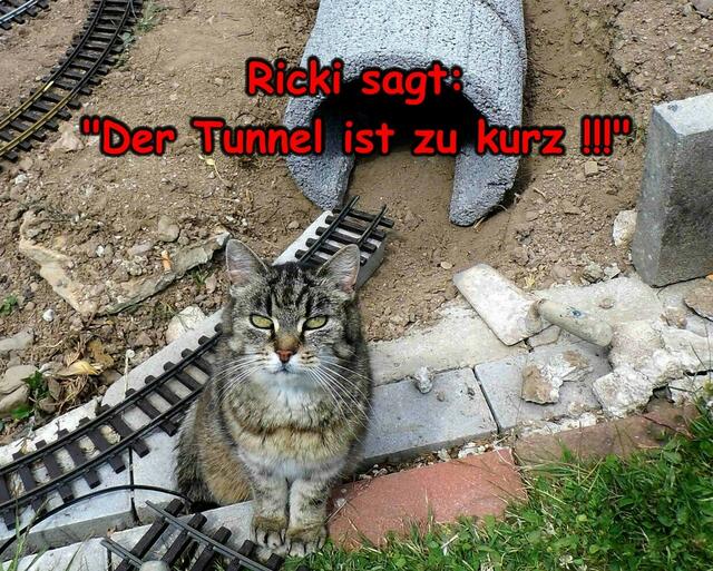 Wo sie Recht hat, hat sie Recht!