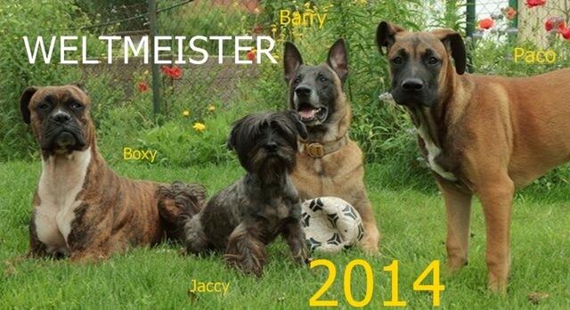 Wr die Hunde WM Beiträge gesehen hat,weiß was die Pfotencrew für einen Anteil daran hat ;-)  Muss doch mal echt erwähnt werden !!!