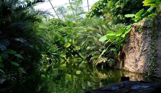 Ein Gefühl wie auf dem Amazonas