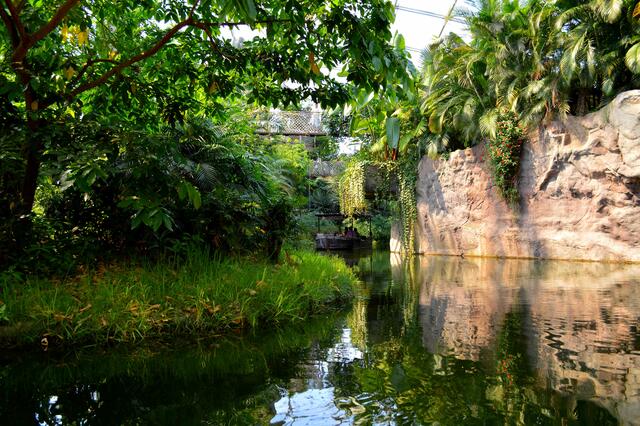 Auf dem Amazonas