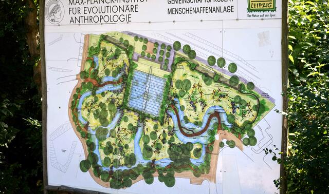 Pongoland ist ganz schön groß