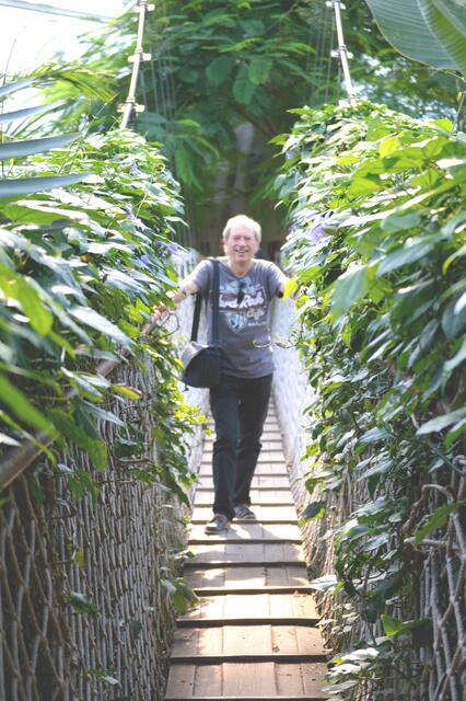 Skywalk zur Affeninsel.