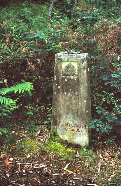 Pilgerweg bei Melide